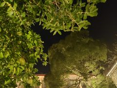 -普陀山雷迪森庄园
