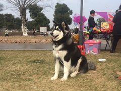 -滆湖低碳生态公园