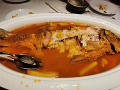 -阿五黄河大鲤鱼(纬三路店)