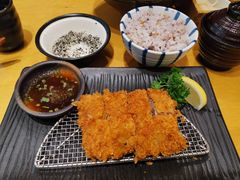 -胜博殿日式炸猪排(西红门店)