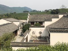 -帐篷客·溪龙茶谷度假酒店