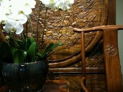 貌似是蝴蝶兰还是啥？-幽篁里古琴制作中心