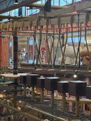 -卡通尼·Safari非洲探索乐园·生日会(金桥国际商业广场店)