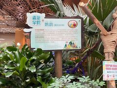 -杭州开元森泊度假乐园