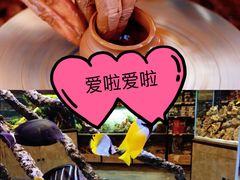 -趣陶陶艺手工坊(新世界百货重庆店)