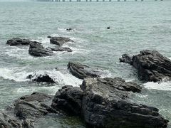 -黑石礁公园