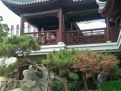 android_upload_pic-青岛国学公园