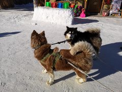 -雪谷