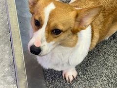 -钟师葱葱鲫鱼·江湖菜(梁家巷店)