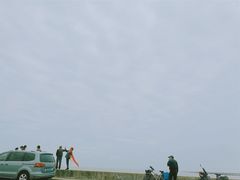 -南汇新城海滩