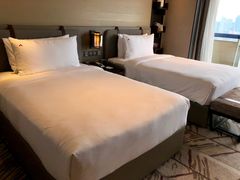 -新加坡瑞士史丹福酒店