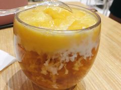 芒果水晶杯-豆豆冰室·地道招牌椰子冻(大良店)