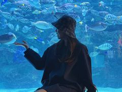 -海合安成都极地海洋公园