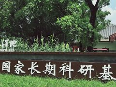 -海珠湖公园