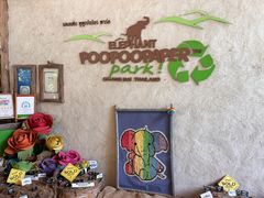 -大象粑粑造纸公园