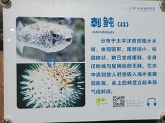 -杭州海底世界