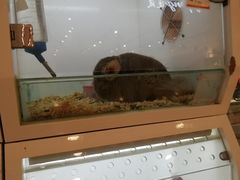 -凯德广场(武胜路店)