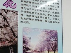 -华兴日语学校(总校)
