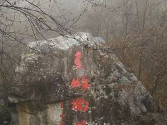 -青峰峡国家森林公园