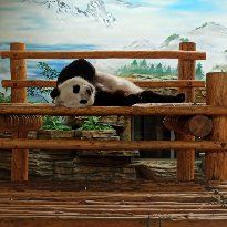 -西霞口神雕山野生动物世界