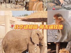 -北京动物园