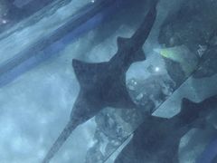 -暹罗海洋世界