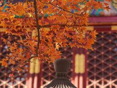 -香山公园