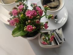-Mezomd曼索蒂西班牙餐厅(广粤店)