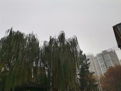 -京朋串屋·烧烤(望京西路总店)