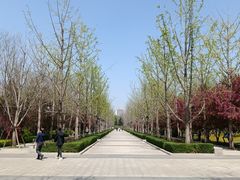 -迎泽公园