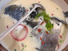 -全乐鱼馆·淳牌有机鱼直营店