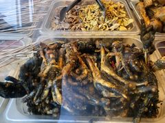 -老号尤兔头(幸福店)