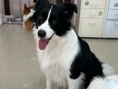 -汪说·狗咖(旺城大厦店)