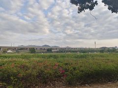 -光明小镇欢乐田园
