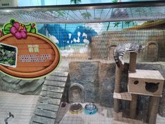 -顺德南宏海立方海洋公园