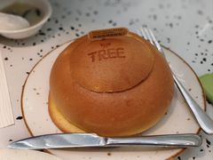 -大树餐厅(朝阳大悦城店)