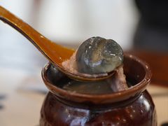 -陶姐冷粉