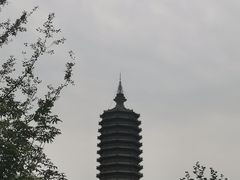 -西海子公园