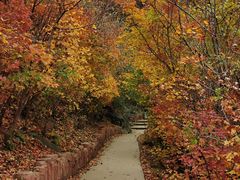 -北京西山国家森林公园