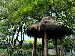 -绍兴鲁迅故里·沈园景区