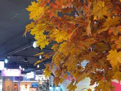 -豪享来(我格广场店)