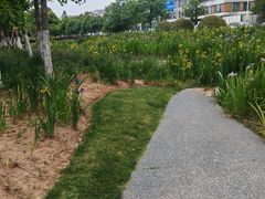 -皇粮浜湿地公园