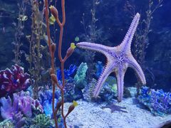 -太平洋海底世界