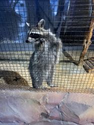 -酷嗒动物文化乐园(cutezoo西溪乐天城店)