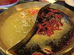 -杨家火锅(国美店)