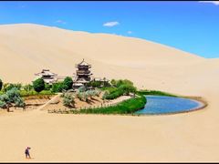 -许记驴肉黄面胡杨焖饼