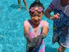 -清泉湾生态旅游度假区