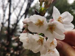 -堤角公园
