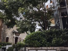 -一颗印(懋庐店)