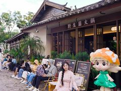 -菌自由丨野生菌火锅特色庭院餐厅(丽江古城店)